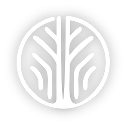 Biomimicry Frontiers Logo